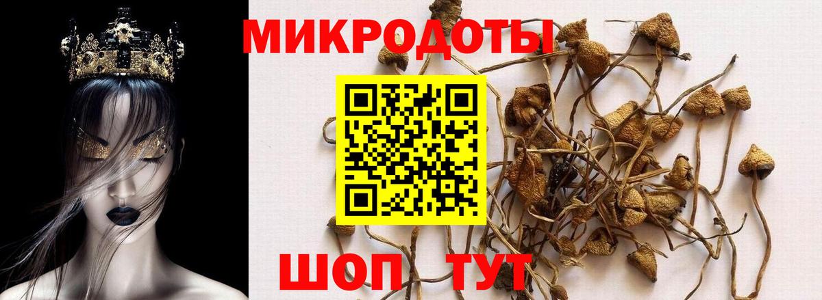 Сердобск  Галлюциногенные грибы мицелий  Вход с VPN 