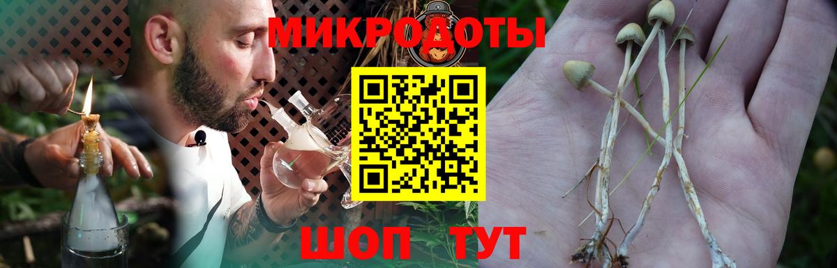 Галлюциногенные грибы мухоморы Сердобск